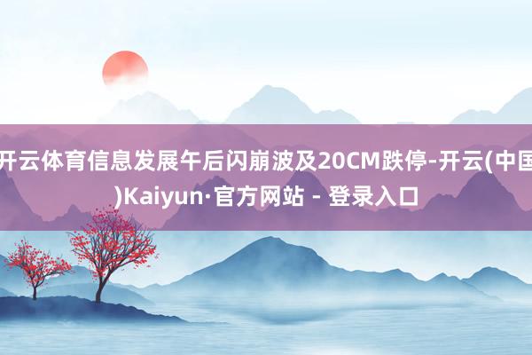 开云体育信息发展午后闪崩波及20CM跌停-开云(中国)Kaiyun·官方网站 - 登录入口